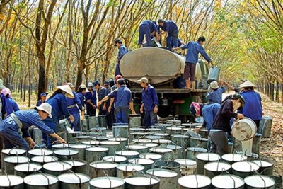 Giảm lãng phí, tăng khả năng cạnh tranh của doanh nghiệp nhờ áp dụng phương pháp cải tiến Lean