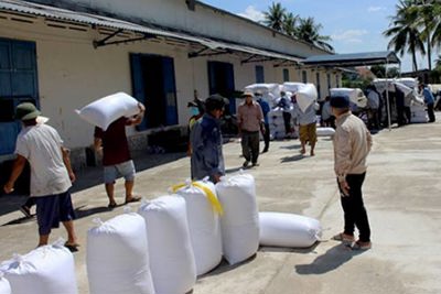 Đã nhập kho dự trữ quốc gia 24.000 tấn thóc 