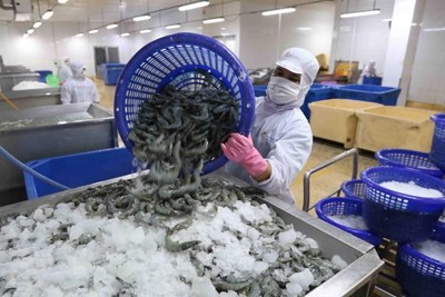 Xuất khẩu thủy sản 6 tháng đầu năm đạt gần 6 tỷ USD