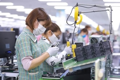 Chính sách hỗ trợ BHXH, bảo hiểm thất nghiệp cho người lao động và doanh nghiệp