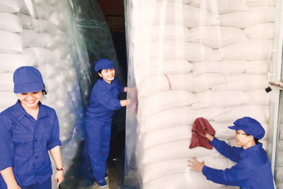 Tăng cường thanh tra, kiểm tra chuyên ngành công tác quản lý hàng dự trữ quốc gia