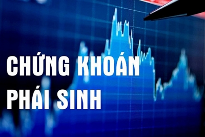 Yếu tố ảnh hưởng đến việc sử dụng công cụ phái sinh tiền tệ của các doanh nghiệp xuất nhập khẩu niêm yết trên thị trường chứng khoán Việt Nam