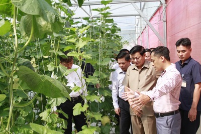Nông nghiệp thông minh: Giải pháp thích ứng với thiên tai ở miền Trung