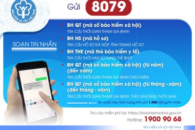 Từ 1/8, chỉ sử dụng đầu số 8079 trong tra cứu thông tin BHXH, BHYT 