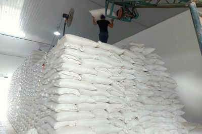 Cục Dự trữ khu vực Đông Bắc hoàn thành nhập kho 3.000 tấn thóc