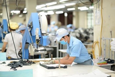 Thị trường lao động đang mất cân bằng