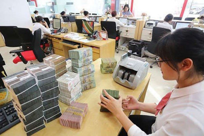 Dư nợ cấp tín dụng xanh có tăng trưởng bình quân đạt hơn 25%/năm