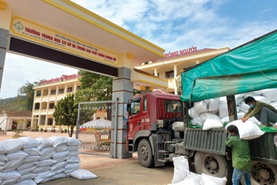 Gấp rút xuất cấp gạo dự trữ quốc gia hỗ trợ học sinh