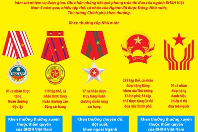 [Infographics] Những con số “biết nói” về thi đua khen thưởng của BHXH Việt Nam