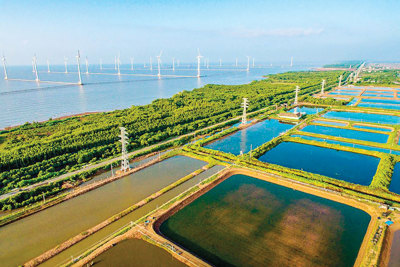 Quy hoạch phát triển kinh tế - xã hội ứng phó với biến đổi khí hậu