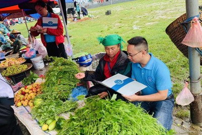 Phát triển bền vững người tham gia BHXH tự nguyện