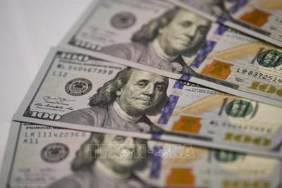 Tỷ giá USD hôm nay 15/11: Đồng USD quay đầu giảm