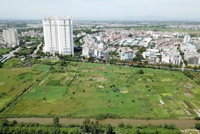 Định giá đất sát thị trường giúp tránh đầu cơ, thổi giá