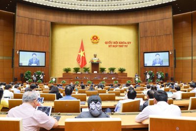 Cải cách tiền lương: Đặc biệt quan tâm đến giáo viên mầm non, tiểu học