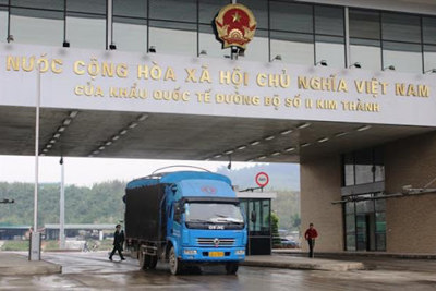 Lực lượng hải quan phát hiện một số vụ việc tạm nhập, tái xuất không đúng tuyến đường