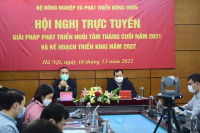 Ngành tôm chủ động tiếp cận thị trường