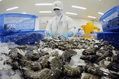 Năm 2021: Xuất khẩu tôm dự kiến cán đích 3,9 tỷ USD