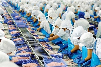 Kim ngạch đạt 10 tỷ USD, Việt Nam thành đối tác lớn nhất khu vực của Đức