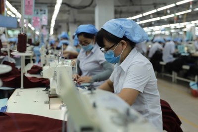 Đẩy nhanh hỗ trợ người lao động, người sử dụng lao động từ Quỹ Bảo hiểm thất nghiệp