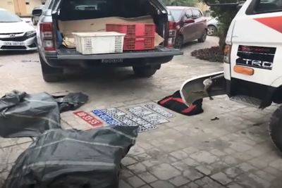[Video] Cảnh sát bắt 4 nghi phạm vận chuyển động vật hoang dã