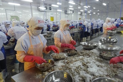 Hiệu quả tài chính của các tác nhân tham gia chuỗi giá trị tôm sú tại tỉnh Trà Vinh