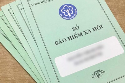  Đáp ứng yêu cầu hội nhập sâu rộng