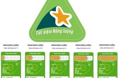 [Infographic] Sử dụng sản phẩm dán nhãn năng lượng góp phần bảo vệ môi trường xanh