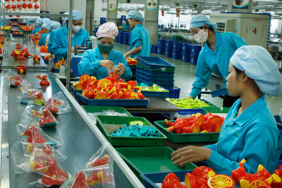 Động lực mới cho kinh tế tư nhân phát triển