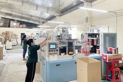 Các chính sách hỗ trợ về thuế từng bước vực dậy doanh nghiệp sau dịch