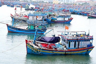 Quy định mới về mức thu phí cấp giấy phép khai thác, hoạt động thủy sản