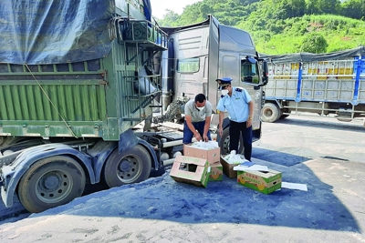 Tích cực khơi thông nông sản xuất khẩu