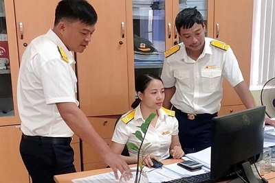 Quy định tiêu chuẩn chuyên môn, nghiệp vụ công chức, viên chức chuyên ngành kế toán, thuế, hải quan, dự trữ