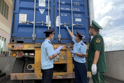 Không thu thuế đối với hàng tái nhập nếu thời điểm làm thủ tục nộp đủ hồ sơ