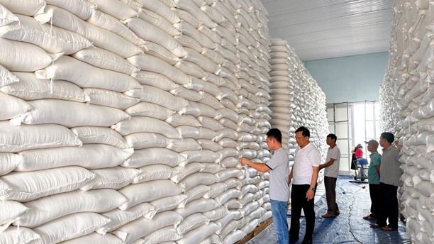 Đảm bảo kế hoạch hỗ trợ gạo giúp bà con ổn định cuộc sống