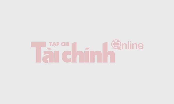 Thông tin Tòa soạn Tạp chí Kinh tế - Tài chính