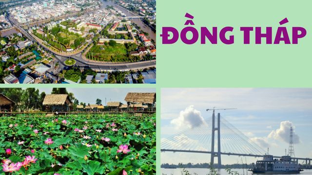 Đồng Tháp thu thập thông tin hơn 4.000 doanh nghiệp trên địa bàn
