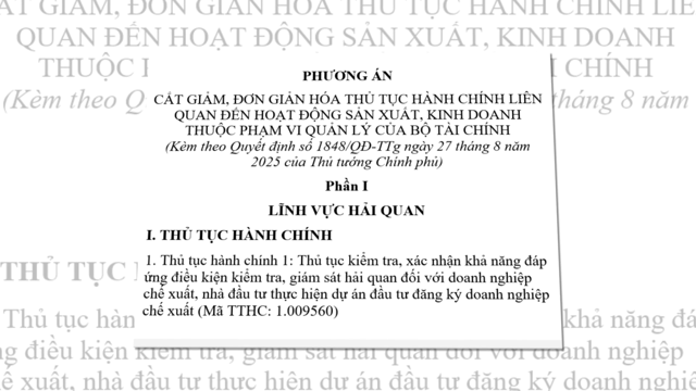 VIDEO: Đơn giản hóa thủ tục hải quan, doanh nghiệp tiết kiệm thời gian và chi phí