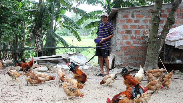 Sinh kế bền vững là mũi nhọn cho công tác giảm nghèo