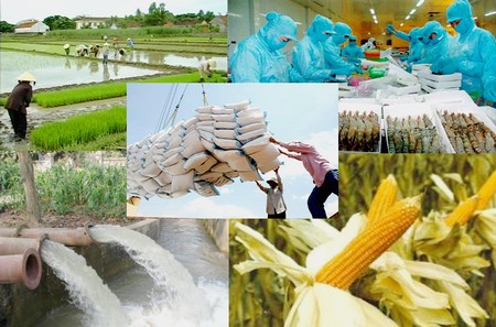Khơi dòng chảy tín dụng ngân hàng vào lĩnh vực nông nghiệp