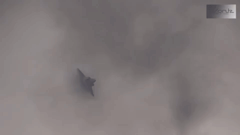 [Infographics] Bất ngờ với lý do chiến đấu cơ tàng hình F-35A bị hỏng tàng hình