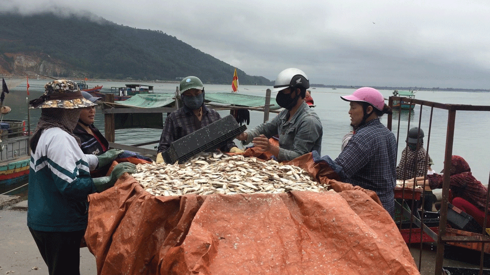 Bốn tỉnh gồm: Hà Tĩnh, Quảng Bình, Quảng Trị, Thừa Thiên – Huế chịu trách nhiệm tổ chức thực hiện hỗ trợ theo đúng nội dung quy định. Nguồn: Internet
