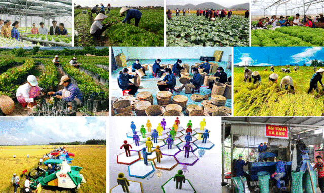 Giải pháp phát triển kinh tế tập thể, hợp tác xã giai đoạn 2021-2030