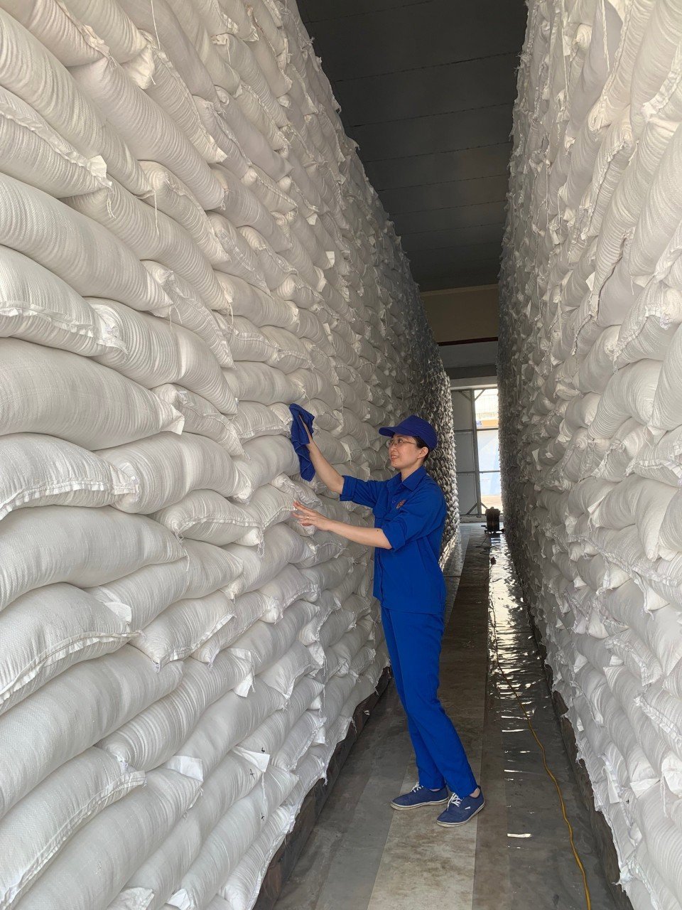 Cục DTNN khu vực Nghệ Tĩnh xây dựng kế hoạch bảo quản hàng DTQG gắn với công tác kiểm tra, giám sát chất lượng hàng DTQG.