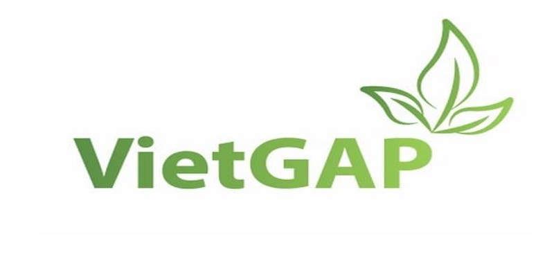 Tiêu chuẩn VietGAP có nghĩa là Thực hành sản xuất nông nghiệp tốt ở Việt Nam