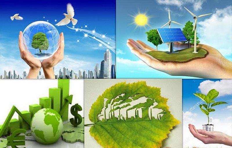 Rủi ro về môi trường trong hoạt động cấp tín dụng là rủi ro tín dụng của tổ chức tín dụng phát sinh khi khách hàng được cấp tín dụng gặp rủi ro về môi trường.