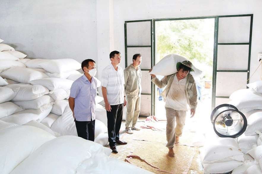 Cục DTNN khu vực Hải Hưng thực hiện hiệu quả công tác nhập, xuất hàng dự trữ quốc gia.