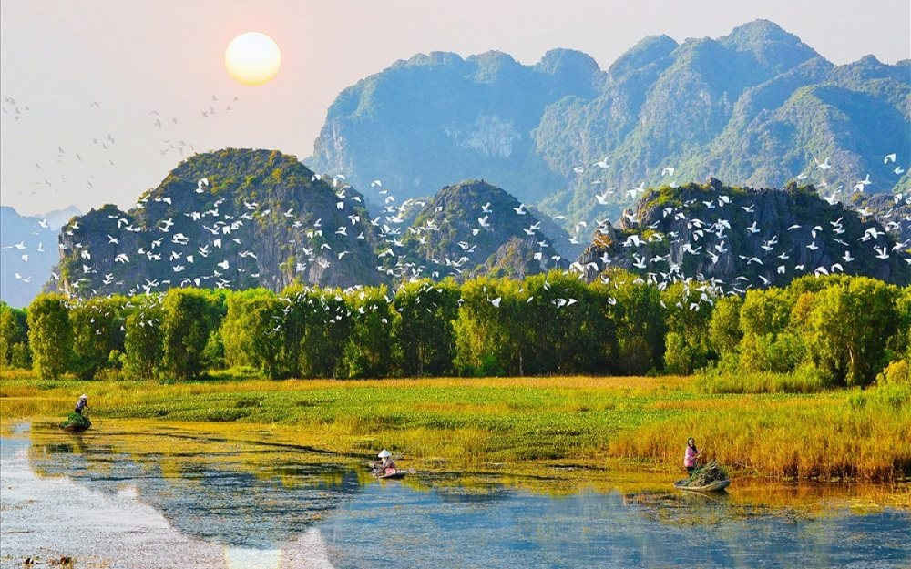Ảnh minh họa: Nguồn internet