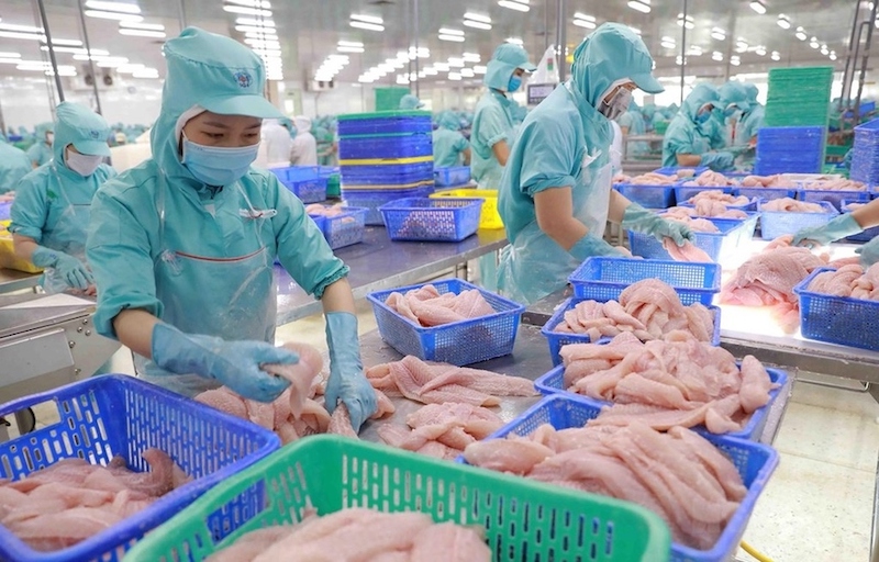 Kỳ vọng năm 2023 xuất khẩu sang thị trường Trung Quốc sẽ tiếp tục ghi nhận mức tăng trưởng kỷ lục mới có thể đạt trên 1,8 - 1,9 tỷ USD.
