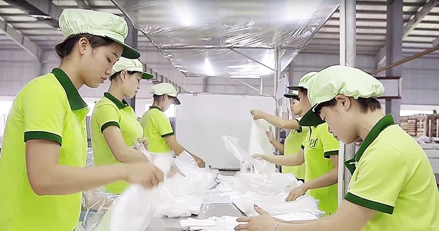 Việc ban hành kịp thời các TCVN, QCVN đã góp phần không nhỏ vào mục tiêu phát triển kinh tế - xã hội của Đất nước.