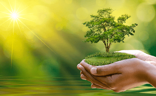 Có 3 QCVN về chất lượng môi trường xung quanh gồm chất lượng môi trường về tiếng ồn, độ rung và trầm tích.